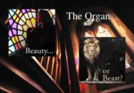 The Organ - Beauty or beast