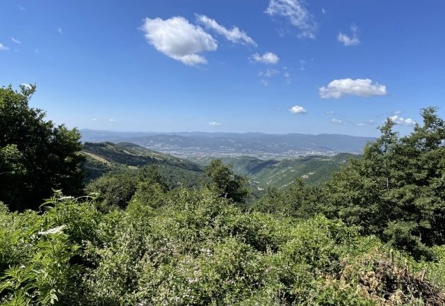 View to Arezzo